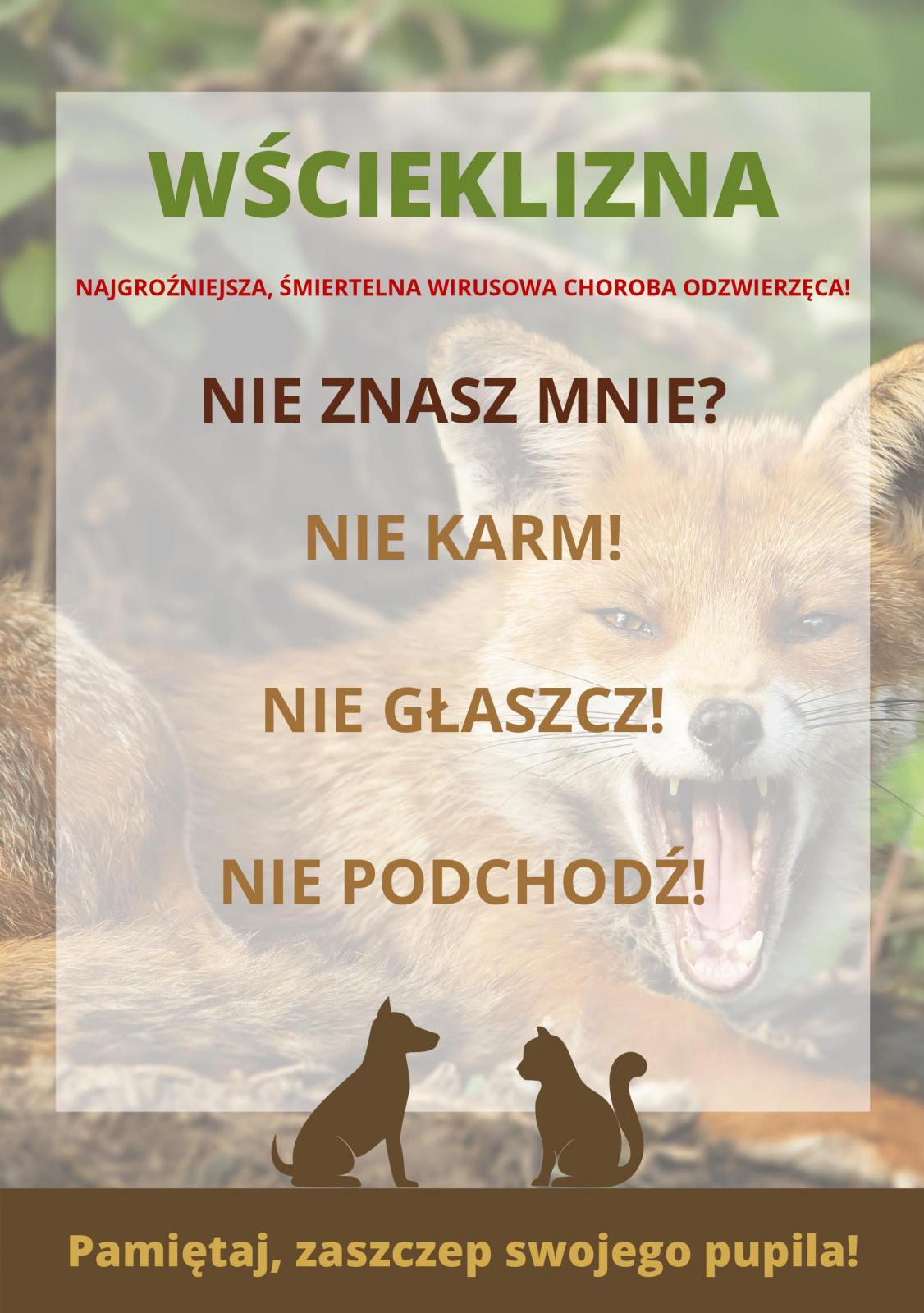 wscieklizna 2