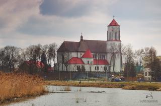 Rewitalizacja zbiornika wodnego w miejscowości Wieliszew 1