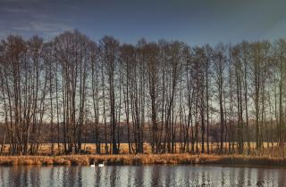 Jezioro Kwietniówka