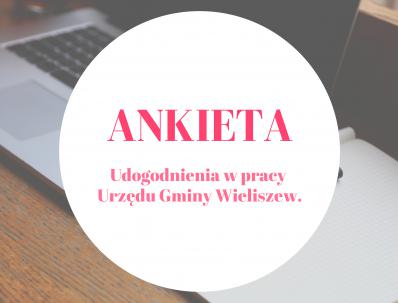 Ankieta