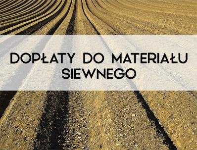 materiał siewny