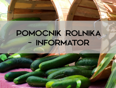 pomocnik