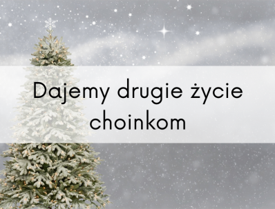 drugie zycie choinek