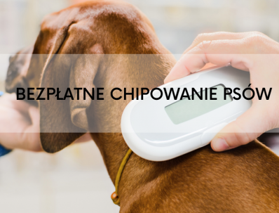 BEZPŁATNE CHIPOWANIE PSÓW