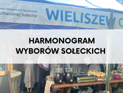 harmonogram wyborow soleckich